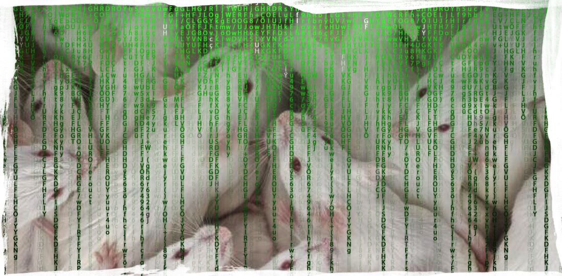 Мировая война за человеческую бигдату. Эпизод первый: Коронавирус