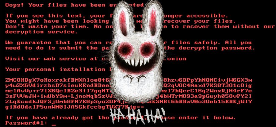 Вирусы-шифровальщики представляют главную угрозу для компаний