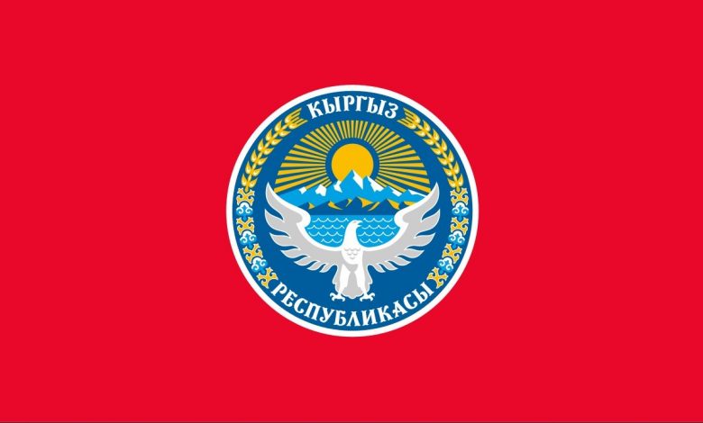 Поиск информации о компании/гражданине Кыргызской Республики (Киргизии)